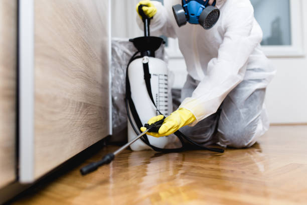 Best Best Pest Control Companies  in Freeport, TX