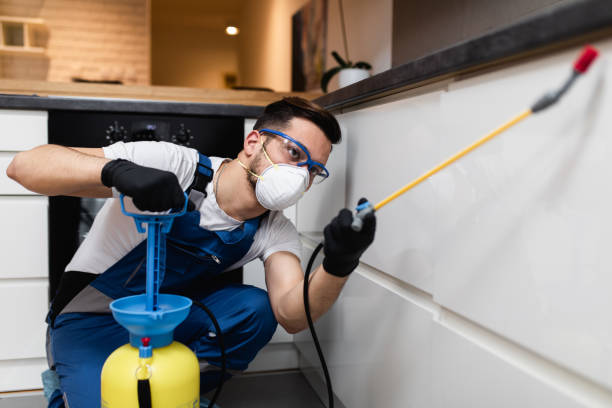 Best Insect Control  in Freeport, TX