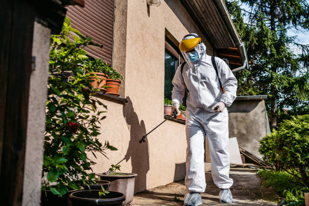 Best Residential Pest Control  in Freeport, TX
