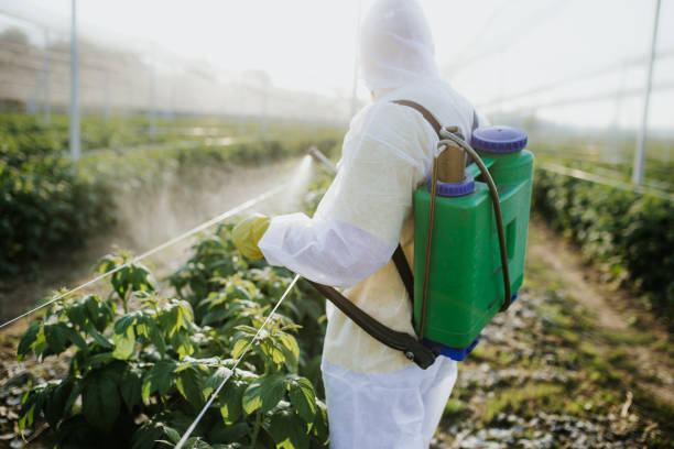 Reliable Freeport, TX Pest Control Solutions